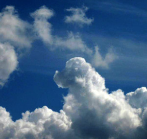 dog cloud