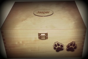 MN Pets memory box