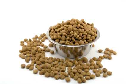 dog food in a bowl on a white background